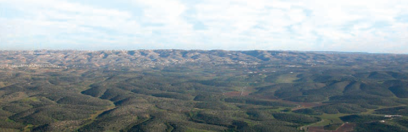 The Shephelah